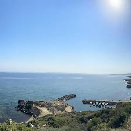 The Rocas Orga
