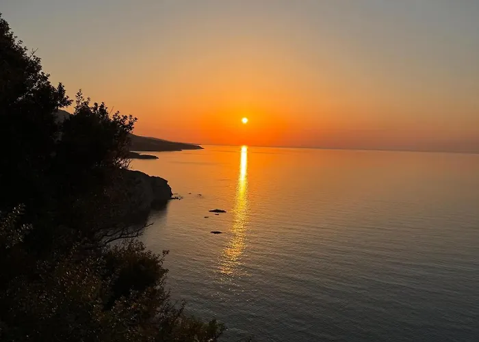 The Rocas Hotel Orga