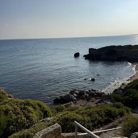 The Rocas Orga