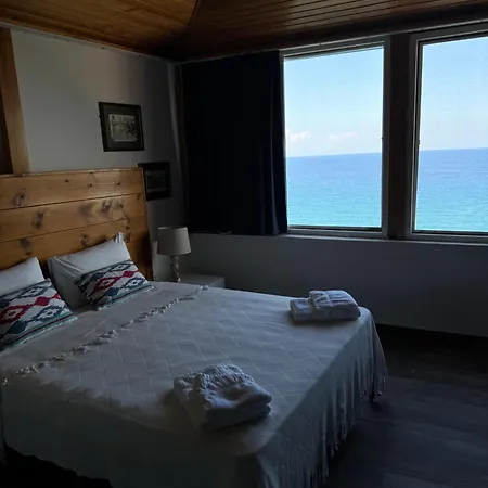 The Rocas Hotel