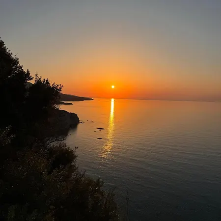 The Rocas Hotel Orga